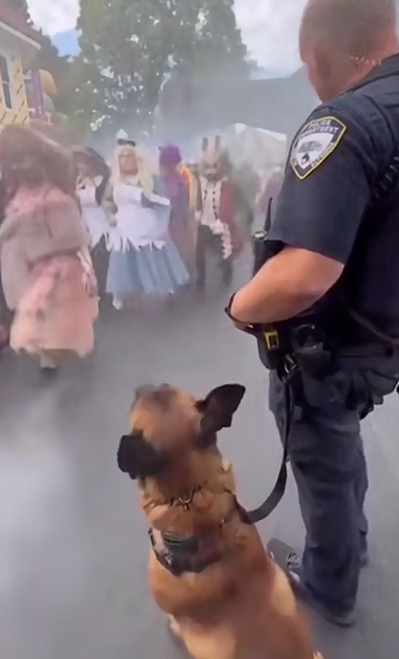 Šéfe, ale toto je ok?